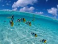 /album/fotogaleria-san-andres/images-jpg1/
